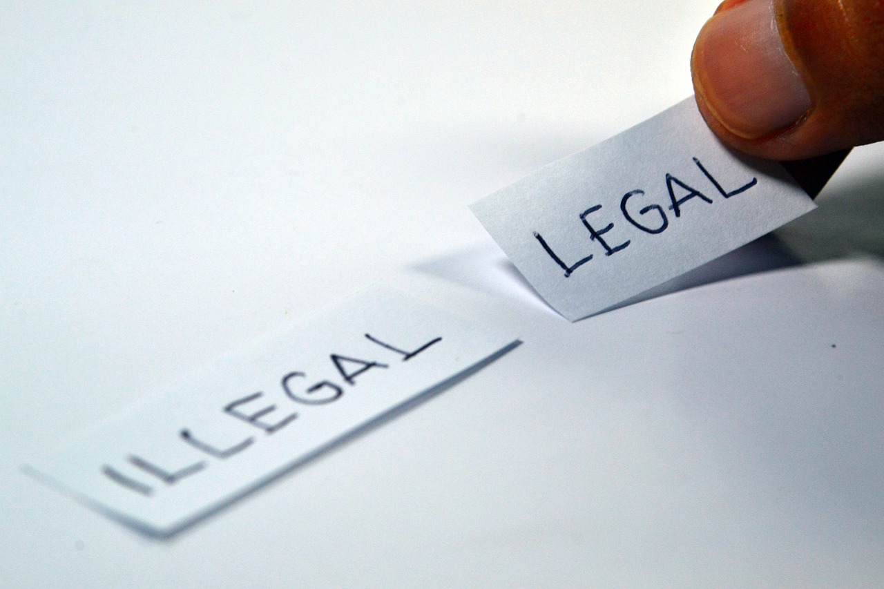 Navigating Immigration Enforcement and Illegal Working