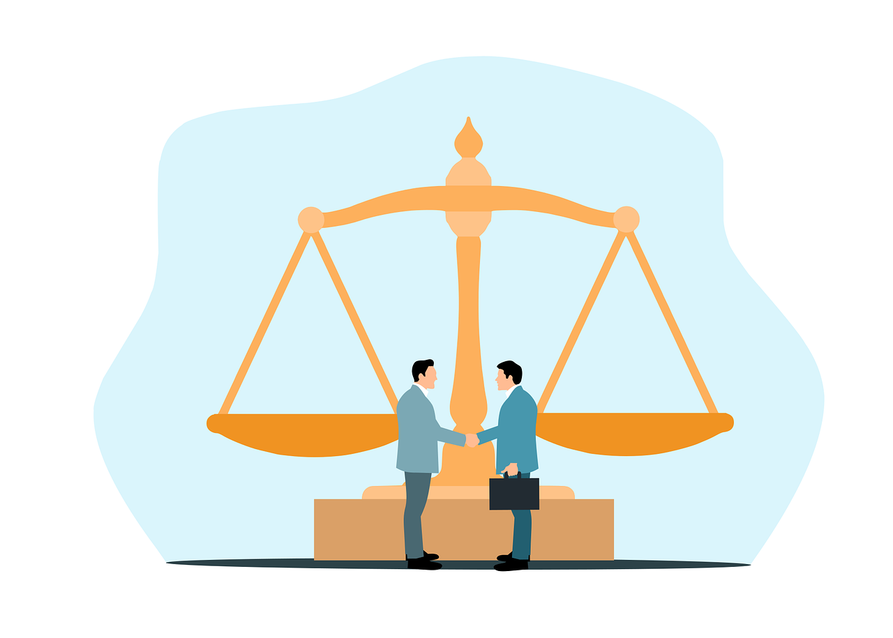 The Role of Immigration Lawyers and Advisors
